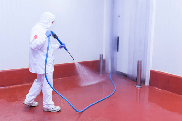 Best Boat and Dock Cleaning  in Shadybrook, TX