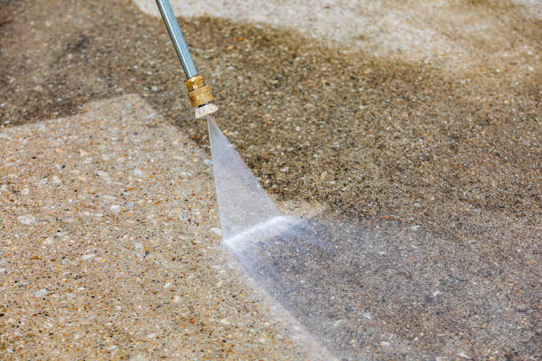 Best Dumpster Area Cleaning  in Shadybrook, TX
