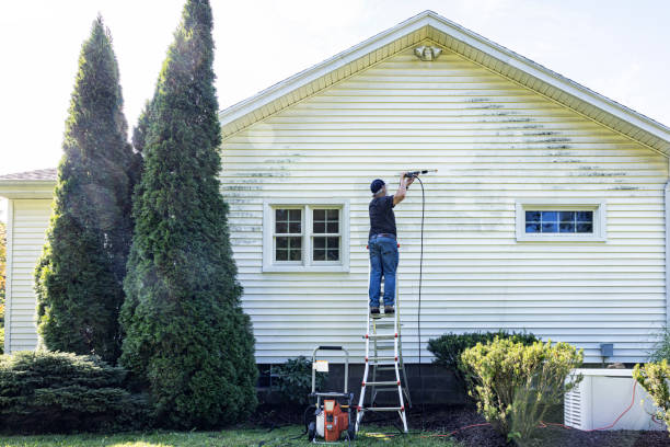 Best Building Exterior Washing  in Shadybrook, TX